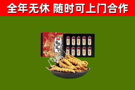 厚街镇烟酒回收冬虫夏草礼盒.jpg