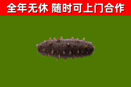厚街镇烟酒回收干海参.jpg